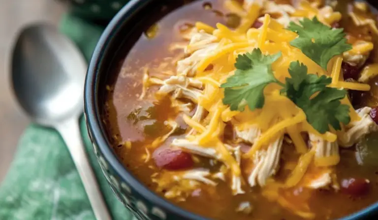 Easy Crock-Pot Chicken Tortilla Soup: A Beginner’s Guide to Comfort in a Bowl
