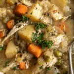 slow-cooker-chicken-stew-served-hot